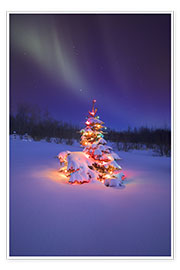 Plakat  Christmas tree and Northern Lights - Carson Ganci