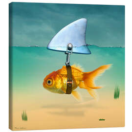 Obraz na płótnie  Złota rybka - Mark Ashkenazi