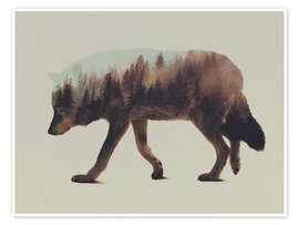 Plakat  Norwegian Woods The Wolf - Andreas Lie
