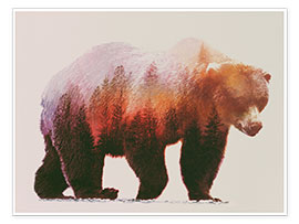 Plakat  Brown bear - Andreas Lie