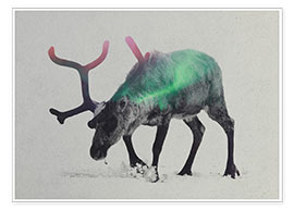 Plakat  reindeer in the aurora borealis - Andreas Lie