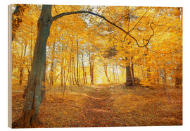 Obraz na drewnie  Golden autumn forest