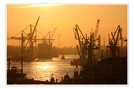 Plakat  Morning light in the Hamburg harbor