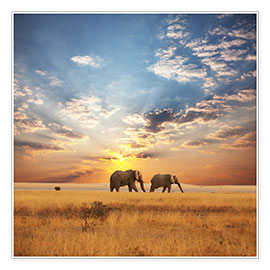 Plakat  Elephants on tour