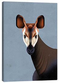 Obraz na płótnie  Okapi - Dieter Braun