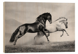 Obraz na drewnie  Czarno-białe konie