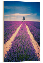 Obraz na drewnie  Lavender Field with tree in Provence, France