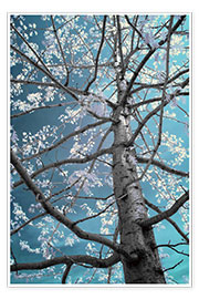 Plakat infrared tree