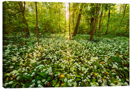 Obraz na płótnie  Spring forest - Dave Derbis