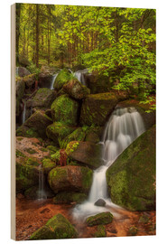 Obraz na drewnie  Waterfall in the forest - Thomas Herzog