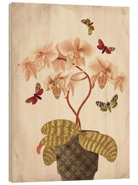 Obraz na drewnie  Orchid Portrait - Mandy Reinmuth
