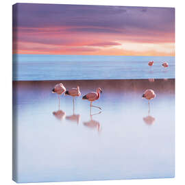Obraz na płótnie  Andean Flamingos, Bolivia