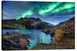Obraz na płótnie  Northern Lights, Norway - Christian Möhrle