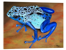 Obraz na szkle akrylowym  poison dart frog - Monica Schwarz