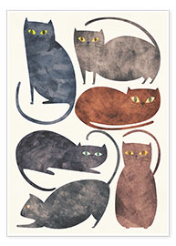 Plakat Cats