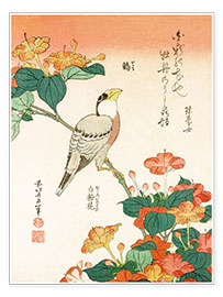 Plakat  Mirabilis jalapa and grosbeak - Katsushika Hokusai