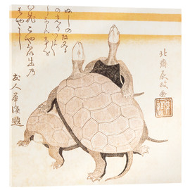 Obraz na szkle akrylowym  Turtles - Katsushika Hokusai