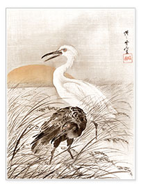 Plakat  Cranes in Marsh - Kawanabe Kyosai