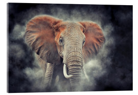Obraz na szkle akrylowym  Elephants in the national park of Kenya