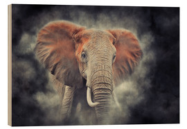 Obraz na drewnie  Elephants in the national park of Kenya