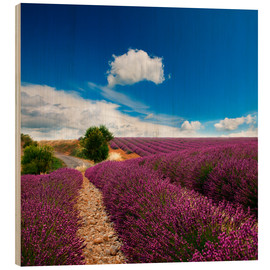 Obraz na drewnie  Beautiful lavender field