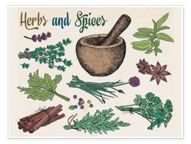 Plakat  Herbs
