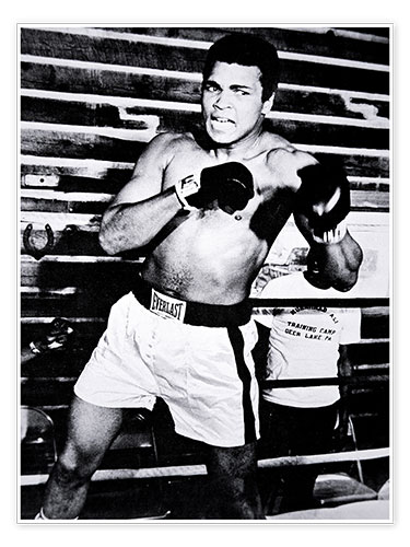 Plakat Muhammad Ali