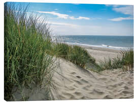 Obraz na płótnie  Summery dune landscape in Holland - Susanne Herppich