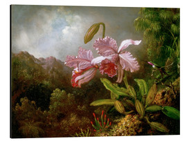 Obraz na aluminium  Orchids in a Jungle - Martin Johnson Heade