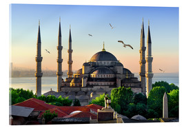 Obraz na szkle akrylowym  The blue mosque in Istanbul