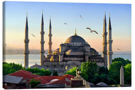 Obraz na płótnie  The blue mosque in Istanbul