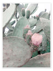 Plakat pink cactus flower