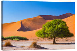 Obraz na płótnie  Sand dunes and Acacia trees at Sossusvlei, Namib desert, Namibia - Fabio Lamanna