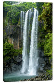 Obraz na płótnie  Jeongbang waterfall - Michael Runkel