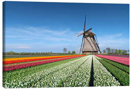 Obraz na płótnie  Flowers and windmill - George Pachantouris