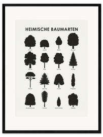 Plakat artystyczny premium w ramie  Native tree species (German) - Iris Luckhaus