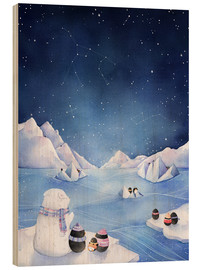 Obraz na drewnie  Stars of the Antarctic - Rebecca Richards