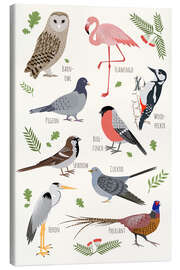 Obraz na płótnie  Bird Species - English - Kidz Collection