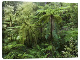 Obraz na płótnie  Native Forest III - Rainer Mirau