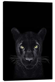 Obraz na płótnie  Black Panther on a black ground II - Valeriya Korenkova
