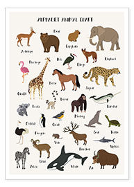 Plakat  Learn the ABC - English - Kidz Collection