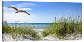 Obraz na płótnie  Seagull flight over sand dunes, Baltic Sea - Art Couture